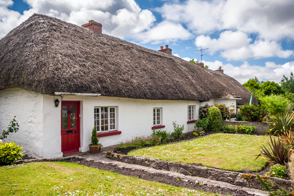 Ecco Stove in Thatched Property